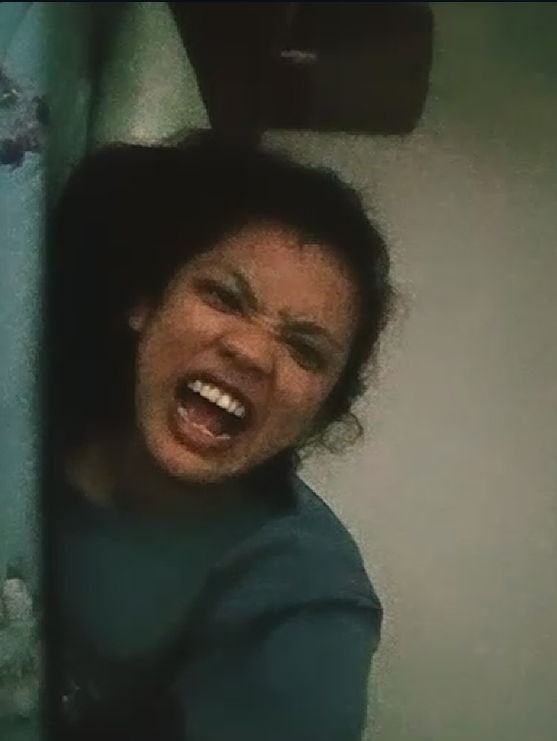 Tangkapan layar video call